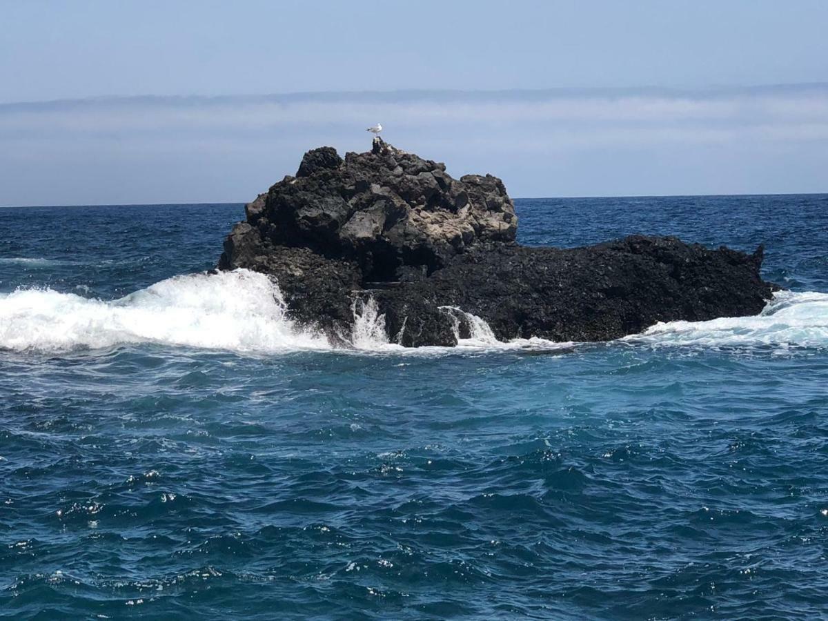 Vivienda Vacacional Balcón sobre el Mar Playa Cancajos.- BreNa Baja  Exterior foto